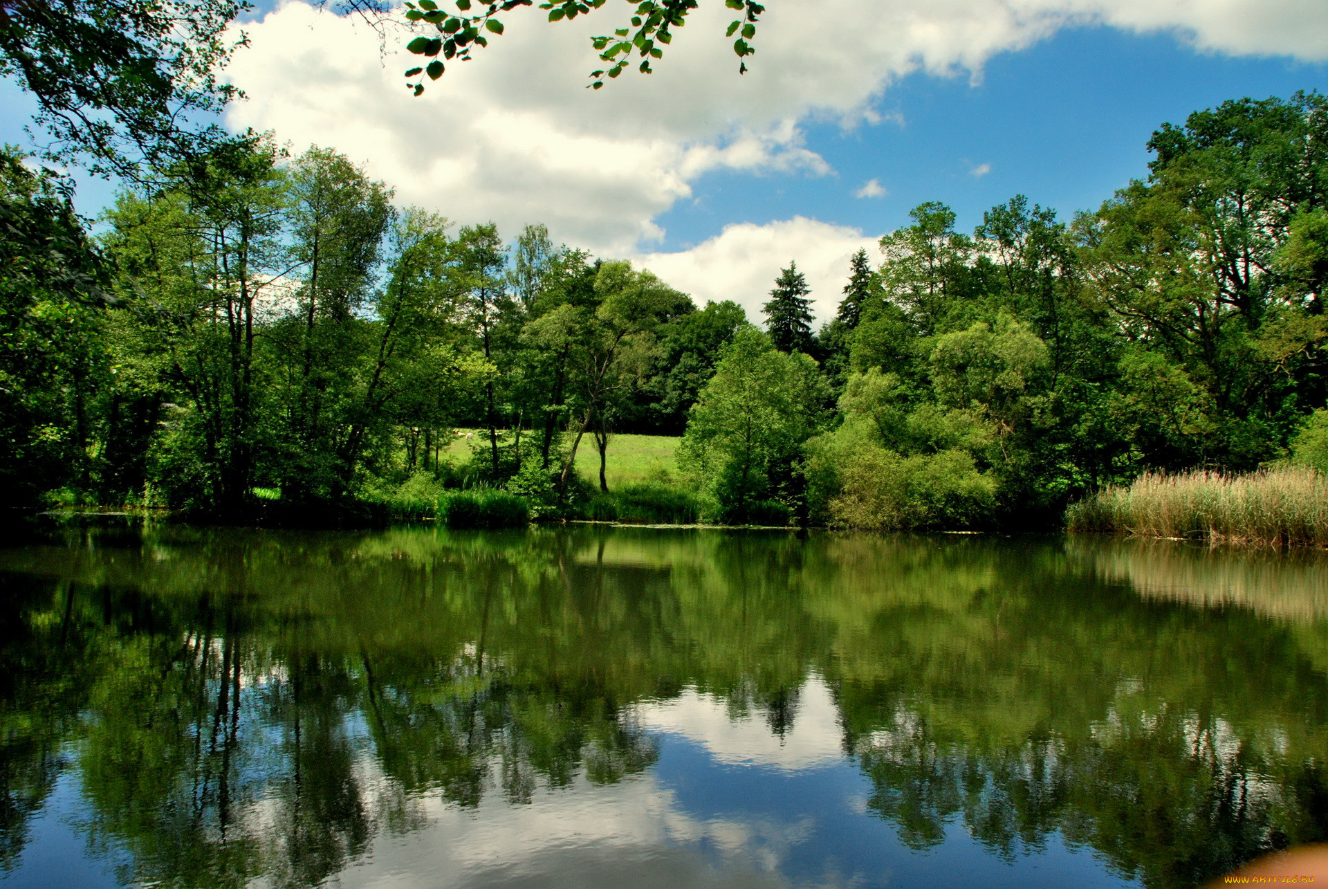 , , , belgium, lake, bierleux